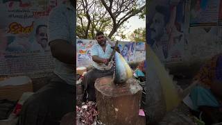 Amazing fish cutting video ??.shorts frfishcuting kasimeduselvam speedselvamcutting.