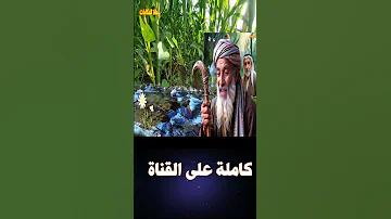 قصة الاسكافى الحكيم وحيلة الملك والخاتم ستة قصص خيالية من القصص المشوقة قصص مسموعة للمكفوفين 