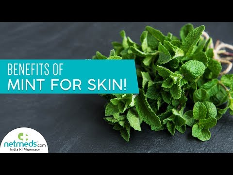 5 Excellent Benefits Of Mint For Skin | Mint Leaf Scrub For Bright