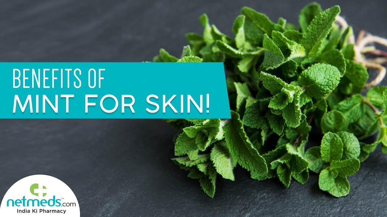 UNKNOWN BENEFITS OF MINT IN SKINCARE  Araah Skin Miracle
