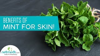 5 Excellent Benefits Of Mint For Skin Mint Leaf Scrub For Bright Skin