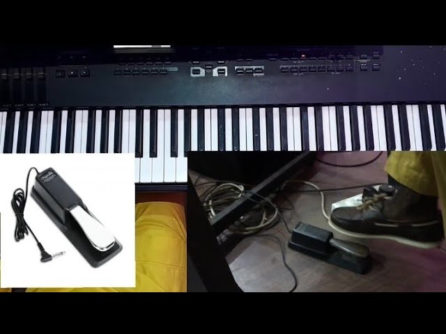 HOW TO USE KEYBOARD PEDALS - Teora Music School