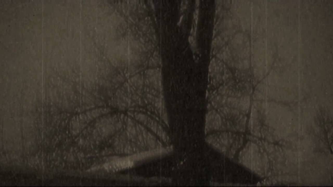 Run With The Wolves (Version I).avi