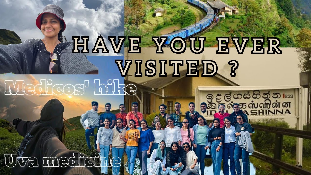 Meddo's Hike ⛰️💚 | මීදුමෙන් පිරුණු ඉදල්ගස්හින්න🍃🌫️#medgirl #travel