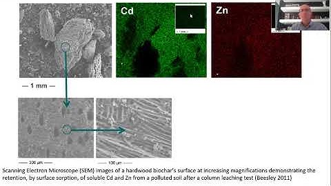 Biochars’ potential role in the remediation, revegetationand restoration of contaminated soils
