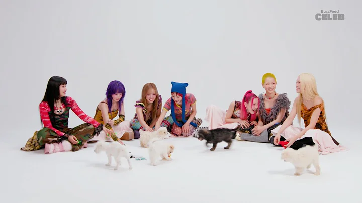 XGのメンバー達が子犬たちと戯れながらインタビューを受けてみた！XG: The Puppy Interview