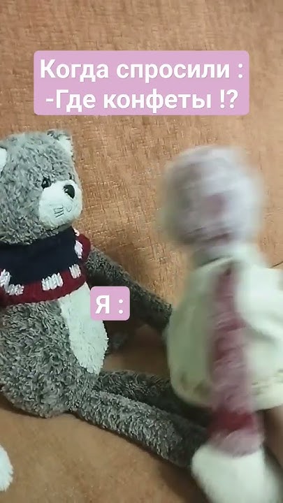 Кто съел конфеты ? 🤨 #котики #приколы#рек - YouTube