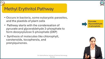 Week 1: Lecture 4: Biosynthesis of Terpenes- Acetate Mevalonate & MEP pathway