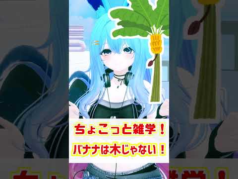 【ちょこっと雑学！】05.バナナは木じゃない！　#shorts #バーチャル警備員ムーさん #VRChat #vtuber