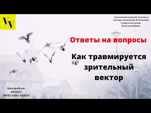 Как травмируется зрительный вектор. ВектораВсем. Проект Вячеслава Юнева