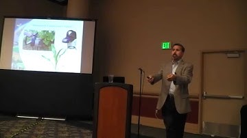 Remote Sensing: Examples from the Field