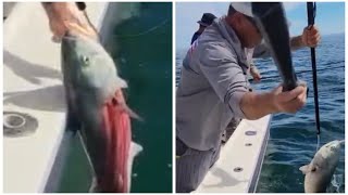 HUGE Bluefish FIGHT 🫤. Bluefish Fishing. #fishing #youtube