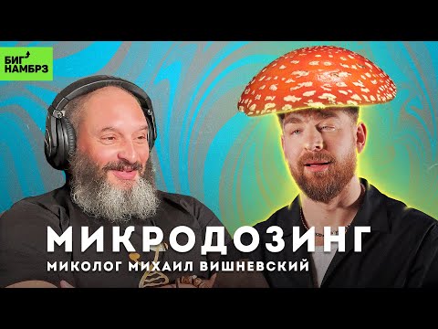 Раз, два, ТРИП | МИКОЛОГ МИХАИЛ ВИШНЕВСКИЙ (часть 2)