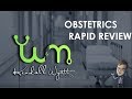 Obstetrics and pregnancy rapid review nursing with kendall wyatt md rn