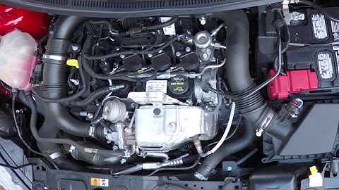 Ford 1.0L Ecoboost 3-Cylinder startup and revving