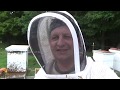 Hive Manipulation and WV Beekeepers Fall Conference