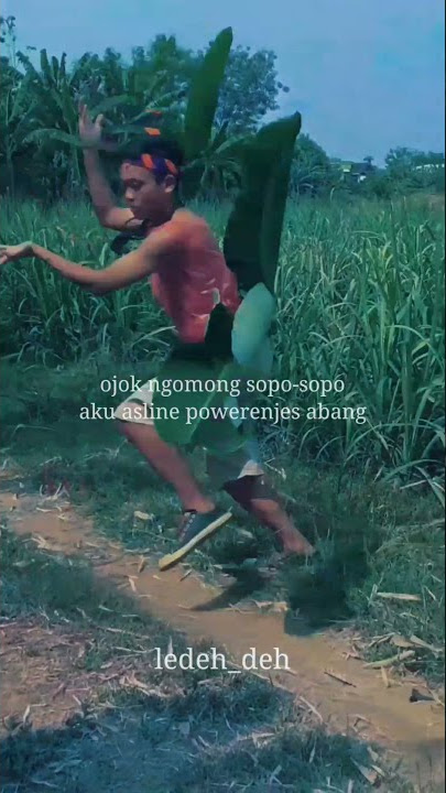 Story Wa Lucu Tik Tok Viral