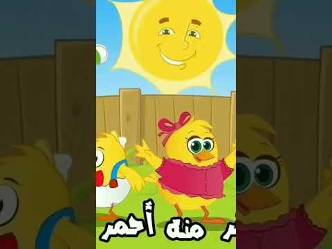 هالصيصان شو حلوين