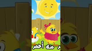 هالصيصان شو حلوين