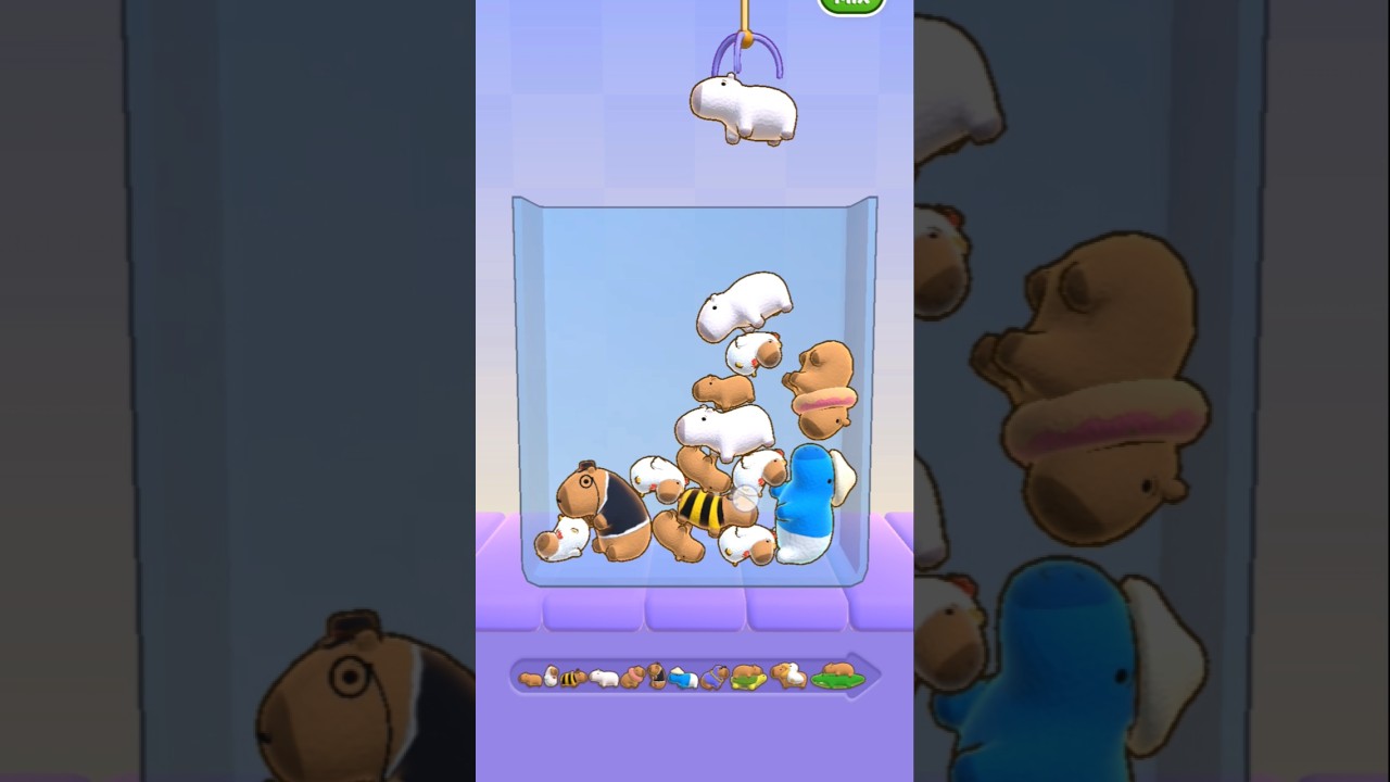 Funny CAPYBARA GAMES 1 