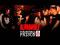 Alpha Wolf Infiltrate Haunted 'Paranormal Prison'