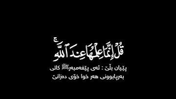 يسألك الناس عن الساعة قل إنما علمها عند الله شاشة سوداء | #سورة_الأحزاب #إسلام_صبحي