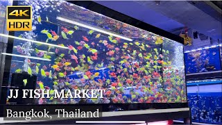 4K HDR| Walk around Chatuchak Weekend Market | Fish Zone (market) | July 2022 | Bangkok | Thailand |