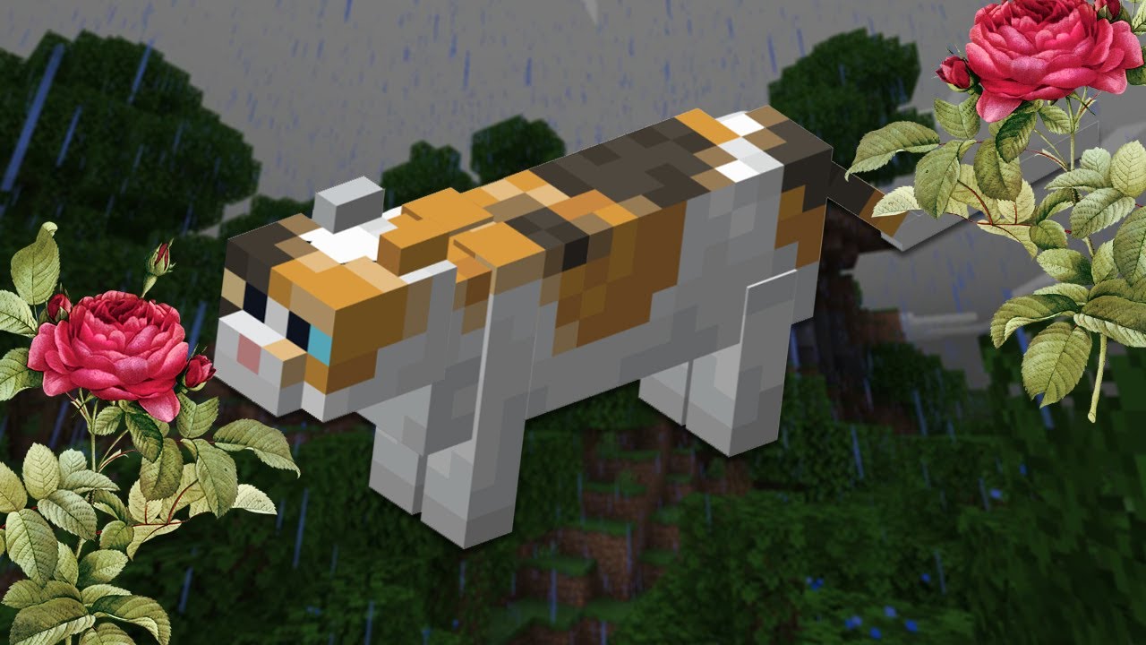 يوم جديد جنازة جديدة - Minecraft #20