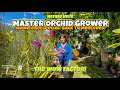 Master orchid grower mercedes is back she shares some of the most spectacular orchids in spring