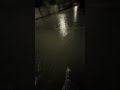 Raining thunderstorms give me asmr 😍#rain #asmr #thunderstorm #raining g