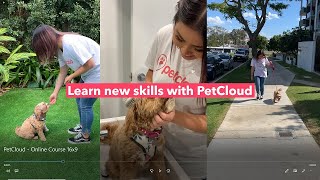 Pet Sitter Training, Dog Walker Training, Animal Care | PetCloud Pet Professional Academy