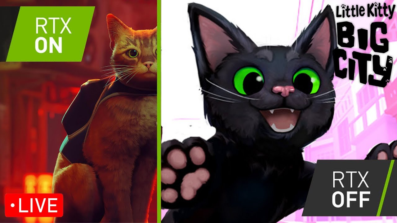 Stray Had Some Budget Cuts | Little Kitty Big City