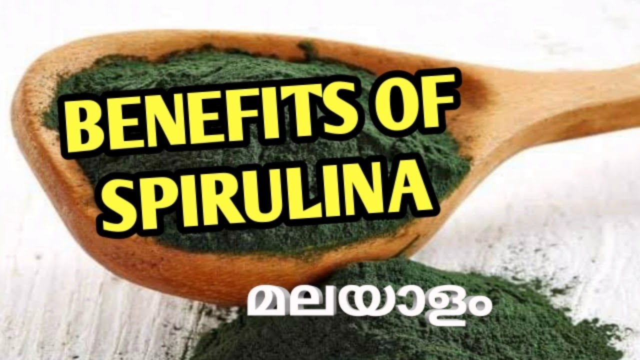 BENEFITS OF SPIRULINA സ്പിറുലിന മലയാളം YouTube