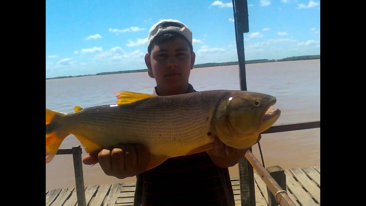 Zarate Pesca De Costanera En Zarate Pesca De Costanera En