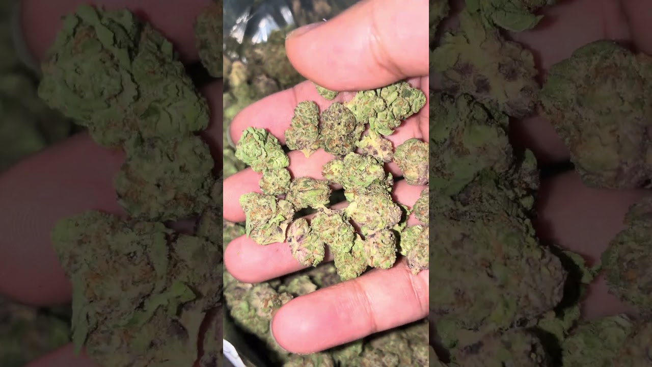 Grape Ape Thca small buds