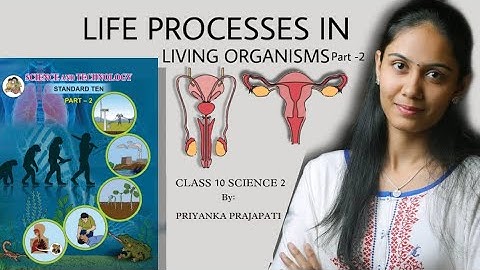 life processes in living organisms|part 2|video 3|class 10|state board|science 2|augustus education