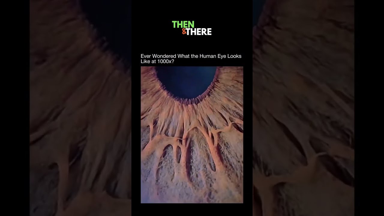 1000x Zoom Into The Human Eye Eyes Humaneye Sciencefacts Universe