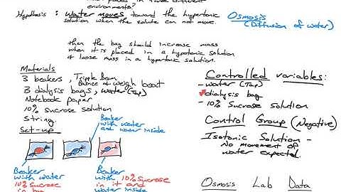 Data anlaysis osmosis lab