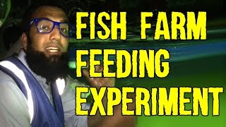 Very Successful Fish Farm Feeding Experiment