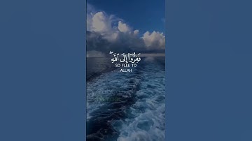 #تلاوات #تلاوت #تلاوة_خاشعة #قران_كريم #قرآن #ترتیل #quran #هزاع_البلوشي #عبدالباسط_عبدالصمد #ماهر_ا