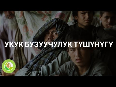 Video: Экономикалык жүрүм-турум: түшүнүгү, түрлөрү жана маңызы