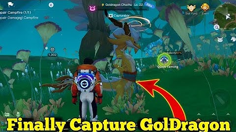 Finally Capture GolDragon In Auroria|| Finally Found GolDragon Auroria|| Auroria Tips and tricks