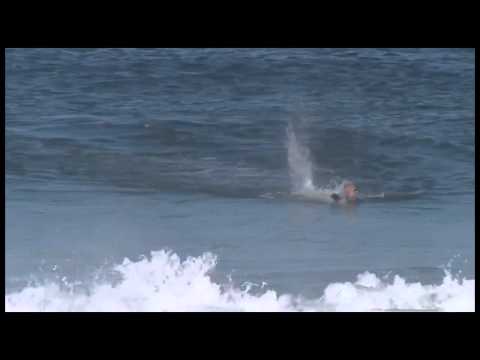 Mick Fanning Slow Motion Shark Attack at J Bay