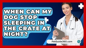 When Can My Dog Stop Sleeping In The Crate At Night? - PetGuide360.com