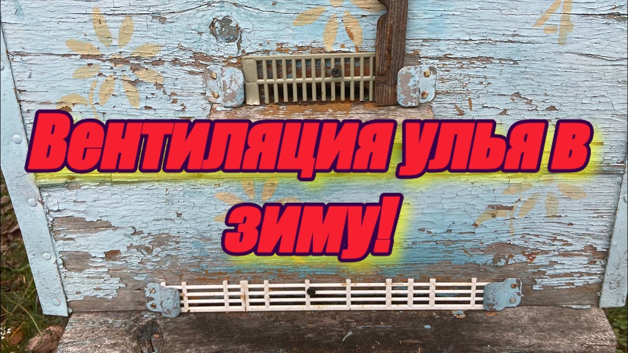  улья в зиму! - YouTube