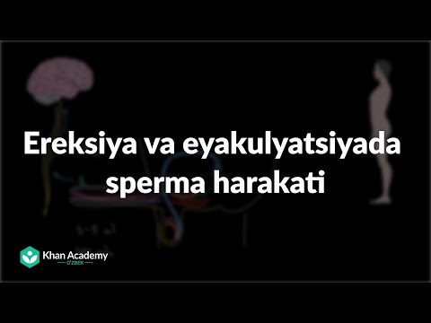 Natalya Oreiro jinsiy porno