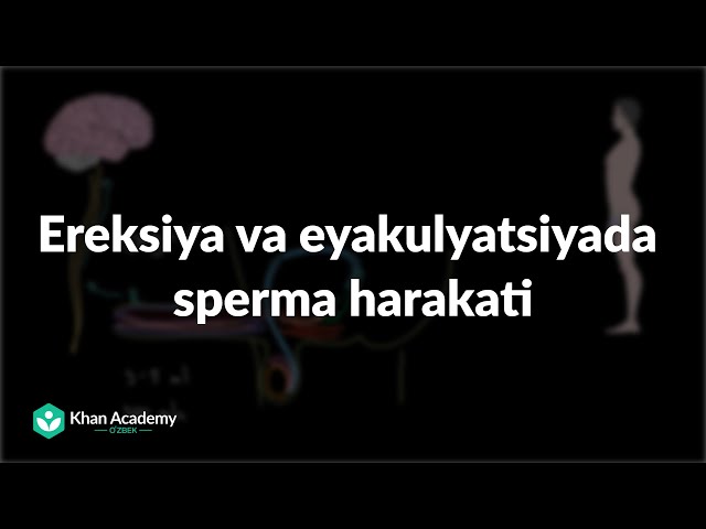 Madison Ivy bilan porno