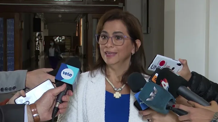 Declaraciones de la directora del Programa Naciona...