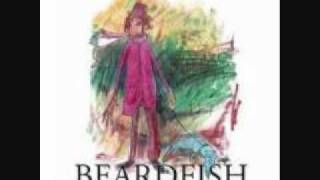 Beardfish Dark Poet