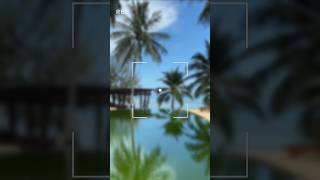 Biggest Resort I Ever Visited In Maldives 4K Drone View